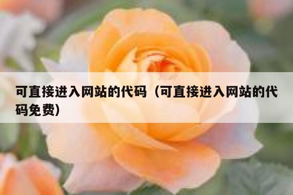 可直接进入网站的代码（可直接进入网站的代码免费） 第1张