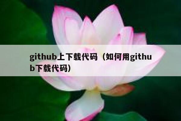 github上下载代码（如何用github下载代码） 第1张