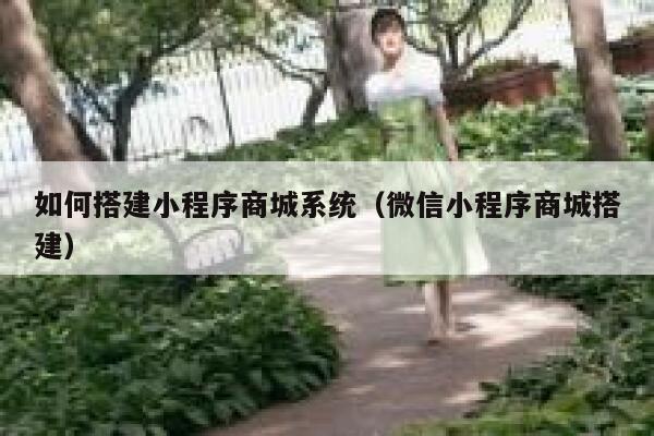 如何搭建小程序商城系统（微信小程序商城搭建） 第1张