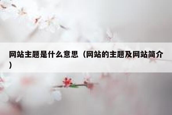 网站主题是什么意思（网站的主题及网站简介） 第1张