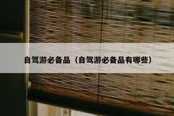 自驾游必备品（自驾游必备品有哪些） 第1张