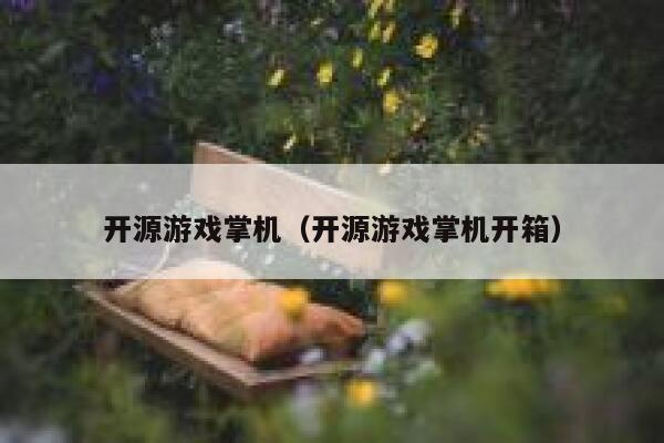 开源游戏掌机（开源游戏掌机开箱） 第1张