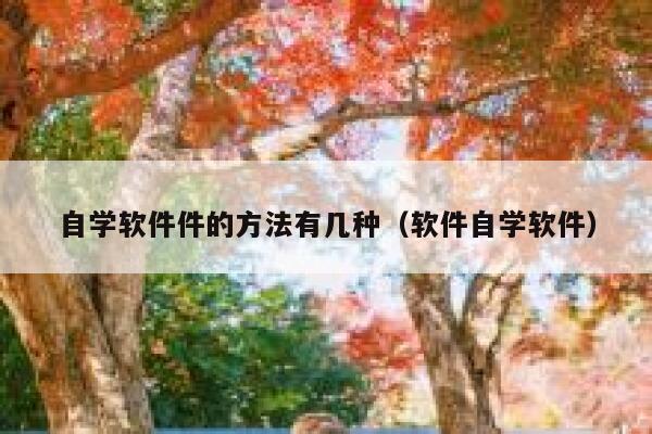 自学软件件的方法有几种（软件自学软件） 第1张