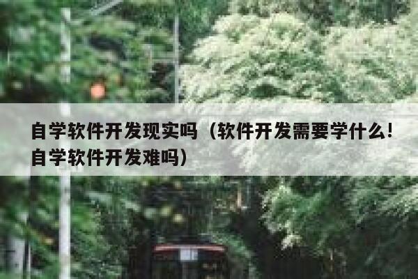 自学软件开发现实吗（软件开发需要学什么!自学软件开发难吗） 第1张