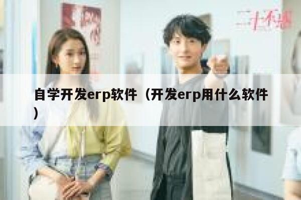 自学开发erp软件（开发erp用什么软件） 第1张