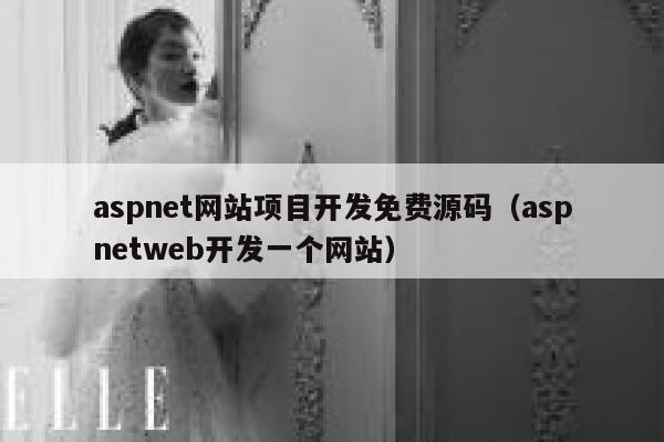 aspnet网站项目开发免费源码（aspnetweb开发一个网站） 第1张