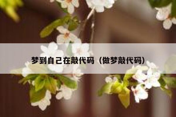 梦到自己在敲代码（做梦敲代码） 第1张