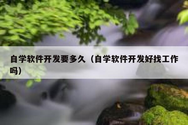 自学软件开发要多久（自学软件开发好找工作吗） 第1张