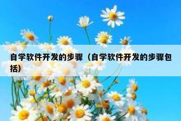 自学软件开发的步骤（自学软件开发的步骤包括） 第1张