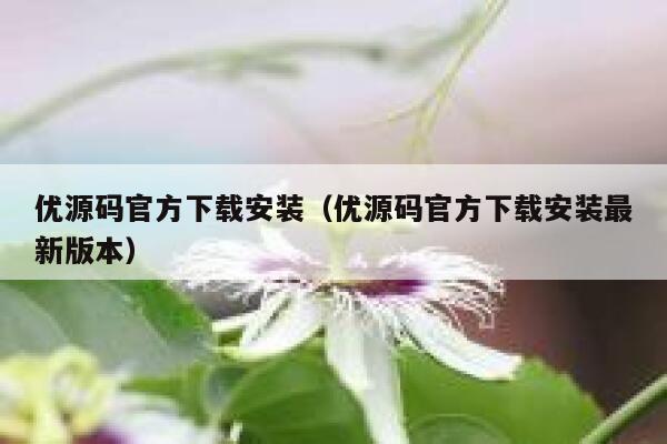 优源码官方下载安装（优源码官方下载安装最新版本） 第1张