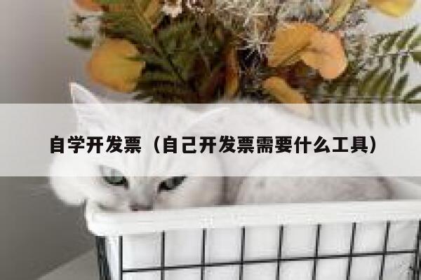 自学开发票（自己开发票需要什么工具） 第1张