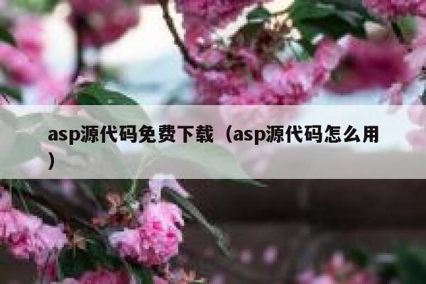 asp源代码免费下载（asp源代码怎么用） 第1张