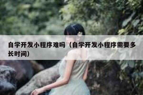 自学开发小程序难吗（自学开发小程序需要多长时间） 第1张