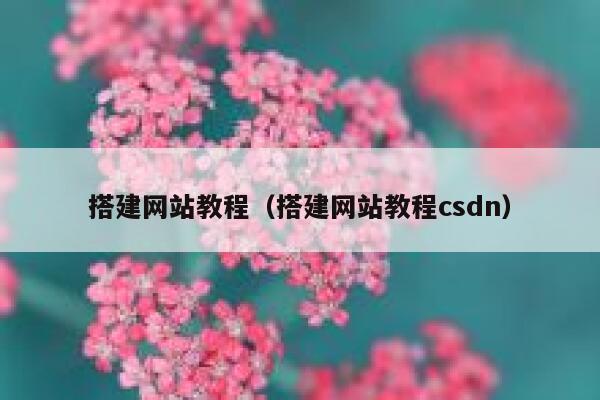 搭建网站教程（搭建网站教程csdn） 第1张