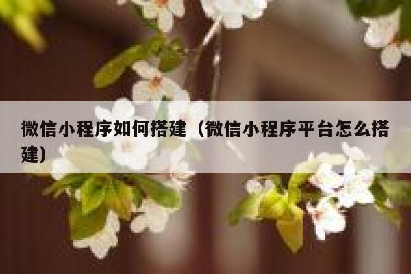 微信小程序如何搭建（微信小程序平台怎么搭建） 第1张