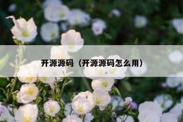 开源源码（开源源码怎么用） 第1张