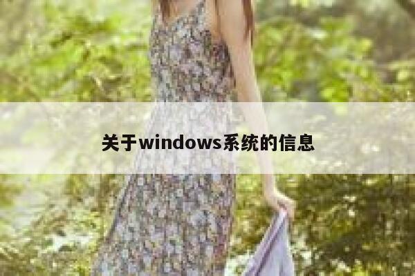 关于windows系统的信息 第1张