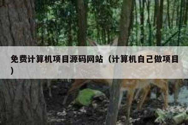 免费计算机项目源码网站（计算机自己做项目） 第1张