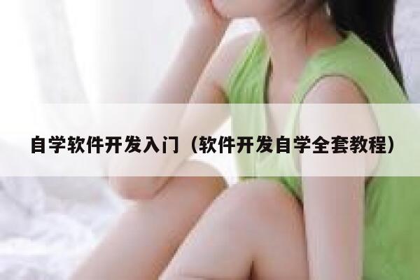 自学软件开发入门（软件开发自学全套教程） 第1张