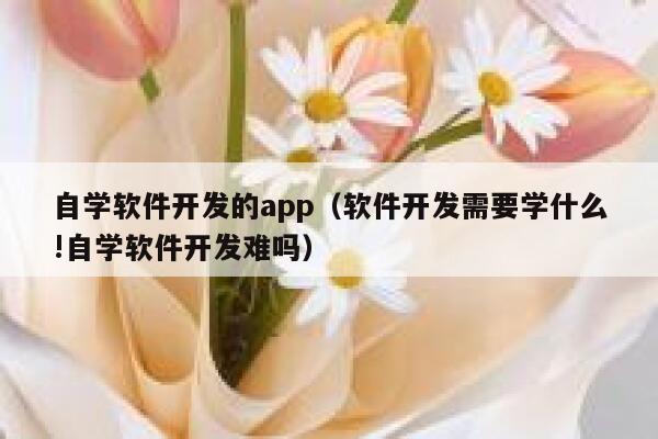 自学软件开发的app（软件开发需要学什么!自学软件开发难吗） 第1张