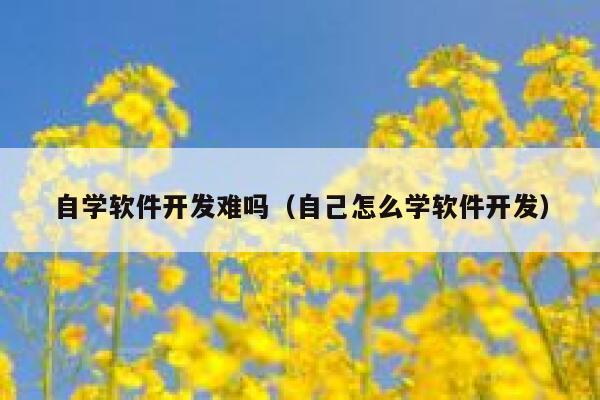 自学软件开发难吗（自己怎么学软件开发） 第1张