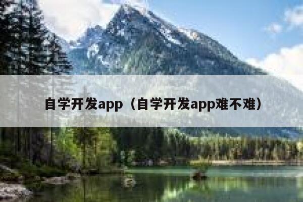 自学开发app（自学开发app难不难） 第1张