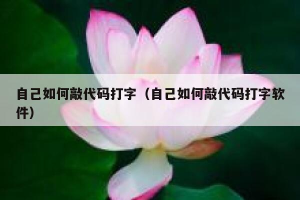 自己如何敲代码打字（自己如何敲代码打字软件） 第1张