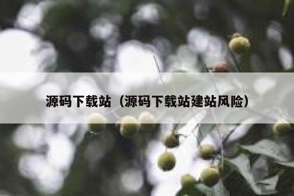 源码下载站（源码下载站建站风险） 第1张