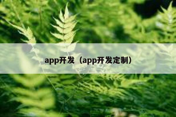 app开发（app开发定制） 第1张