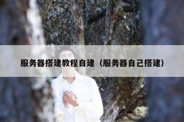 服务器搭建教程自建（服务器自己搭建） 第1张