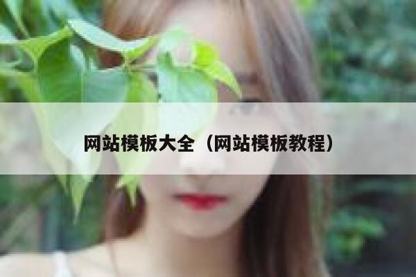 网站模板大全（网站模板教程） 第1张