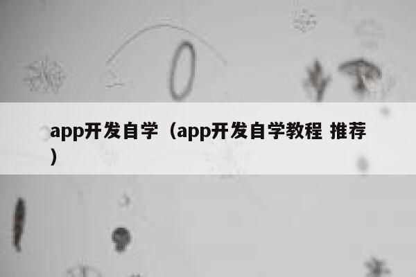 app开发自学（app开发自学教程 推荐） 第1张