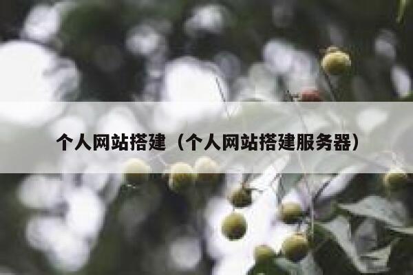 个人网站搭建（个人网站搭建服务器） 第1张