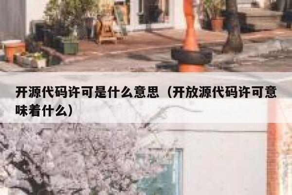 开源代码许可是什么意思（开放源代码许可意味着什么） 第1张