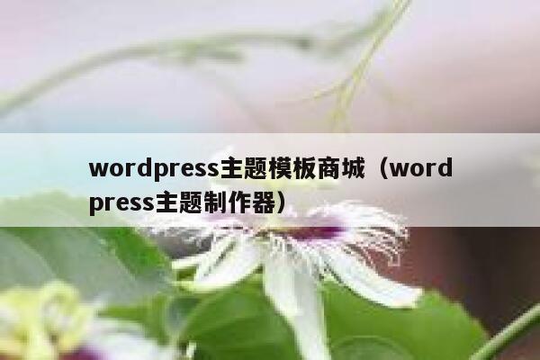 wordpress主题模板商城（wordpress主题制作器） 第1张