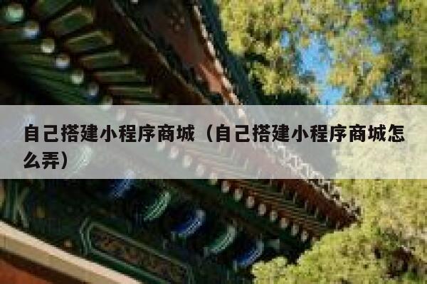 自己搭建小程序商城（自己搭建小程序商城怎么弄） 第1张