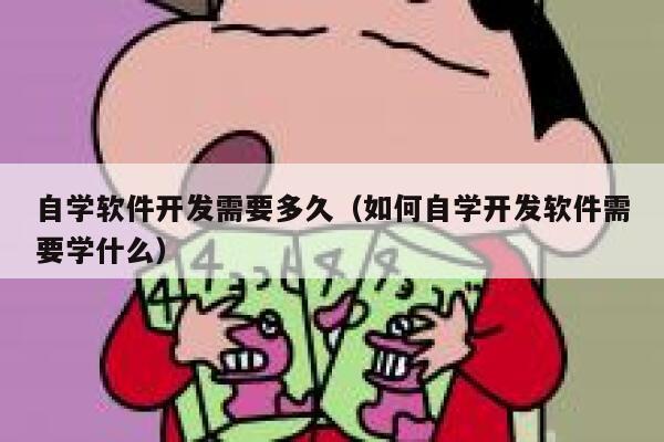 自学软件开发需要多久（如何自学开发软件需要学什么） 第1张