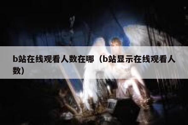 b站在线观看人数在哪（b站显示在线观看人数） 第1张