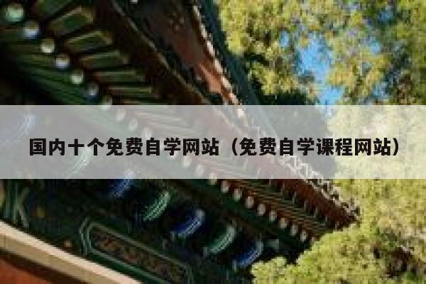 国内十个免费自学网站（免费自学课程网站） 第1张