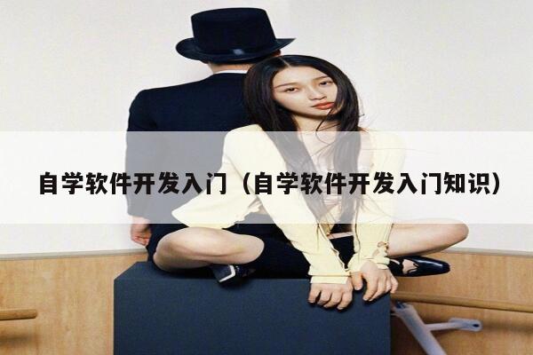 自学软件开发入门（自学软件开发入门知识） 第1张