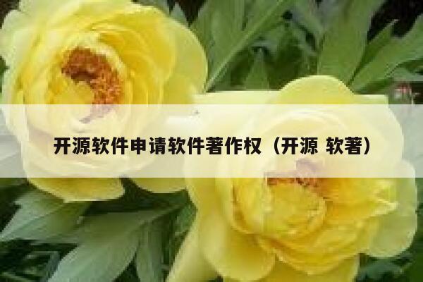 开源软件申请软件著作权（开源 软著） 第1张
