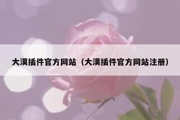 大漠插件官方网站（大漠插件官方网站注册） 第1张