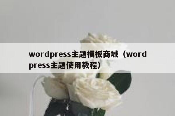wordpress主题模板商城（wordpress主题使用教程） 第1张