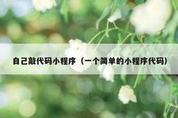 自己敲代码小程序（一个简单的小程序代码） 第1张