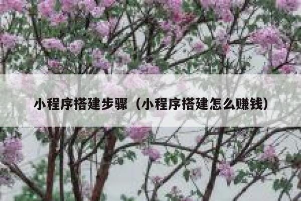 小程序搭建步骤（小程序搭建怎么赚钱） 第1张