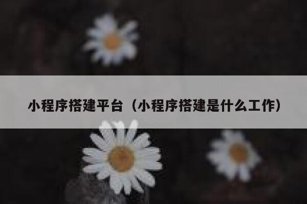 小程序搭建平台（小程序搭建是什么工作） 第1张
