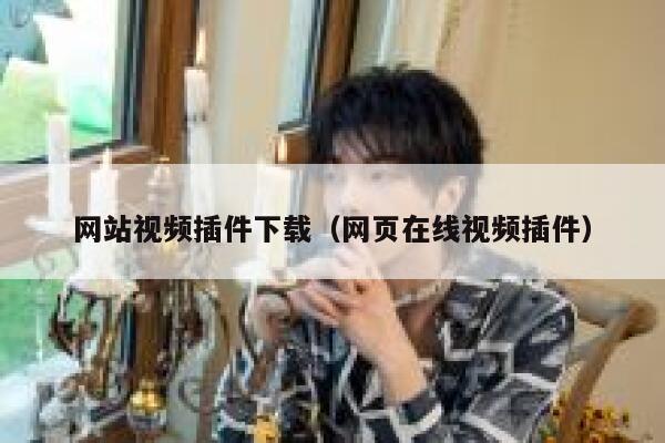 网站视频插件下载（网页在线视频插件） 第1张