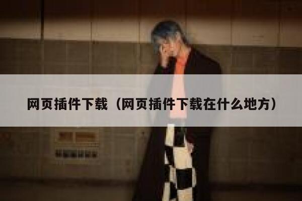 网页插件下载（网页插件下载在什么地方） 第1张