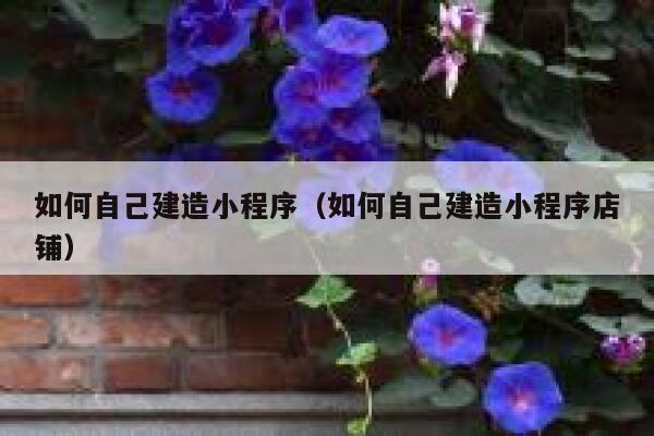如何自己建造小程序（如何自己建造小程序店铺） 第1张