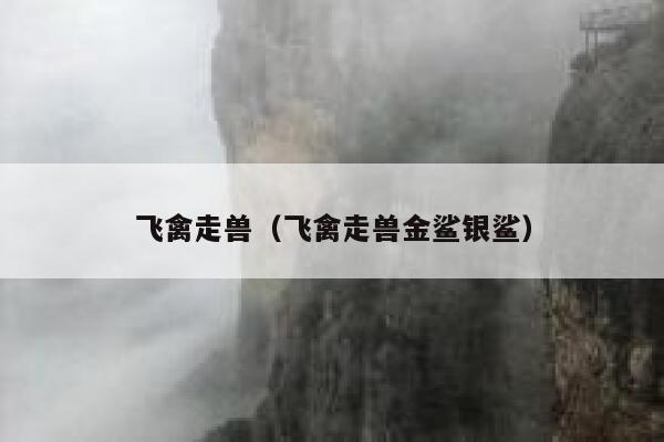 飞禽走兽（飞禽走兽金鲨银鲨） 第1张